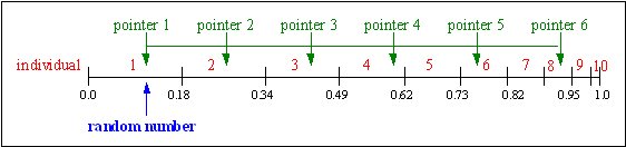 Fig. 3-4: Stochastic universal sampling