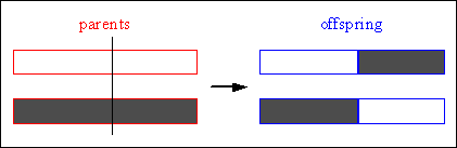 Fig. 4-6: Single-point crossover