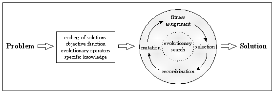 Fig. 1-1: Problem solution using evolutionary algorithms